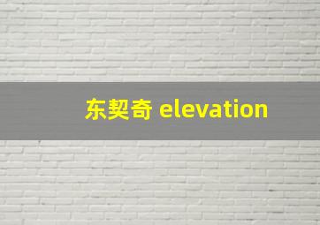 东契奇 elevation